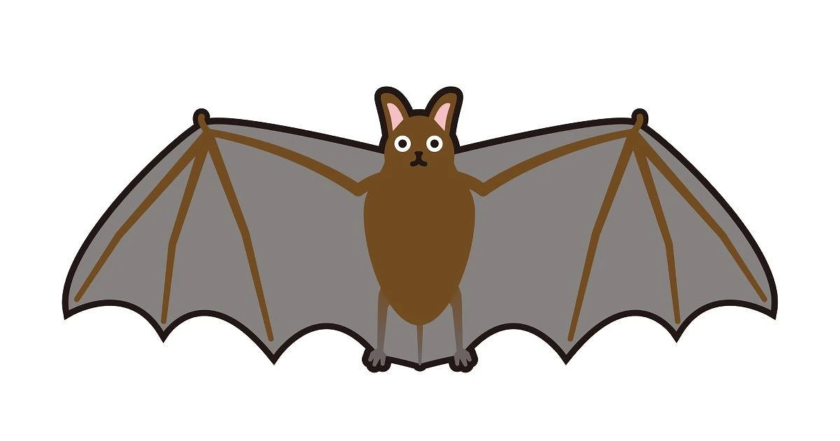 外壁に潜むコウモリの対策とは?具体的な追い払い方や予防策について