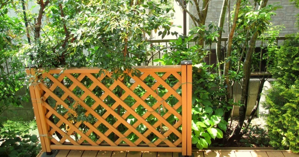 庭木の剪定は自分でできる？剪定の時期ややり方、必要な道具を解説