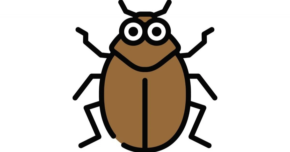 カツオブシムシの駆除方法を解説 発生原因や侵入経路と対策まで紹介