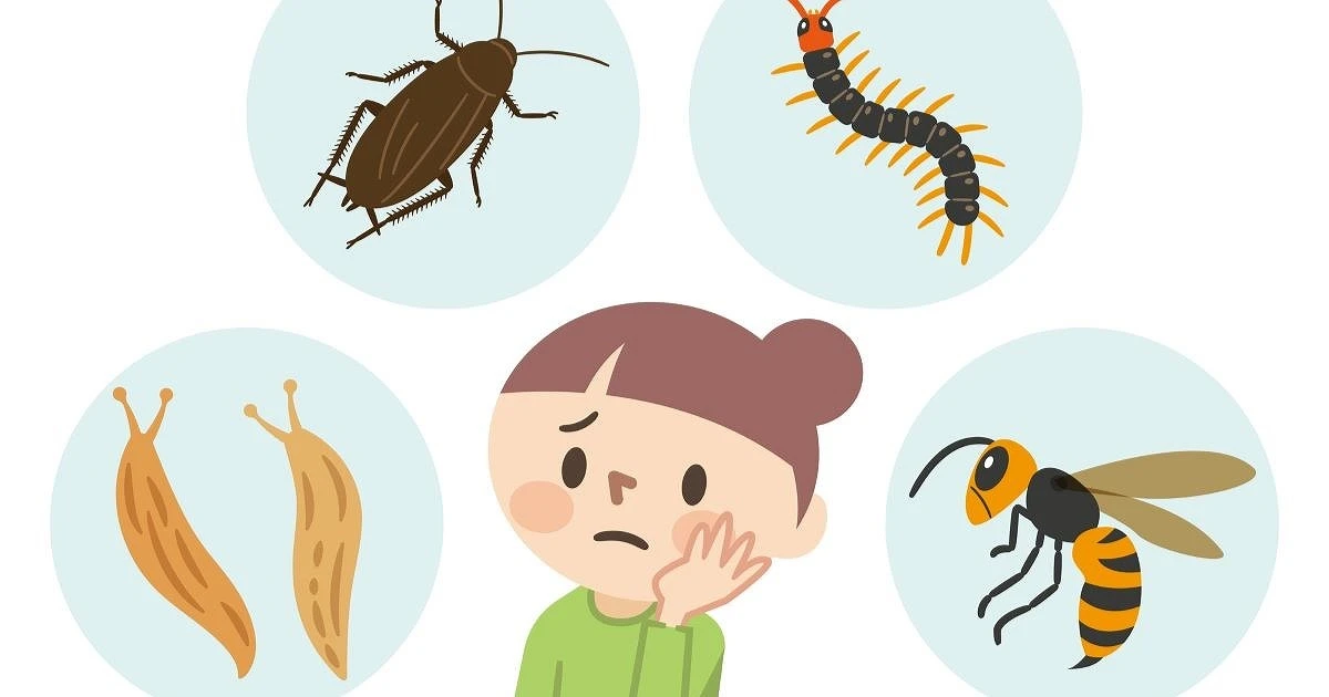 冬場でも害虫対策は必要!侵入されやすい箇所や具体的な対策について