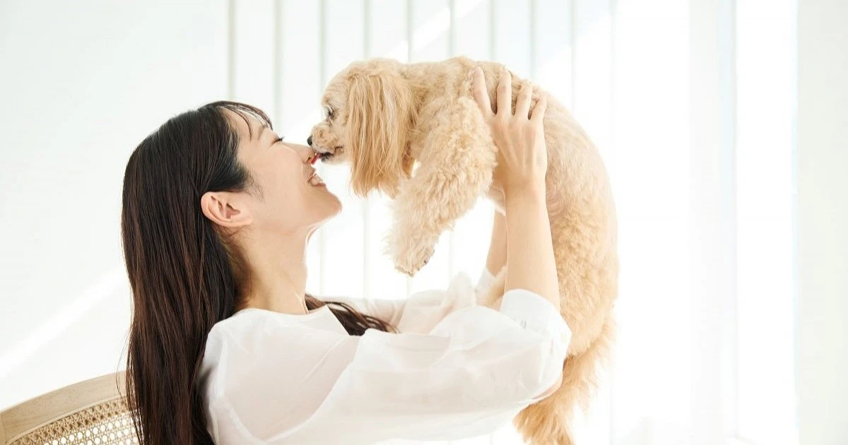 犬の葬式で仕事を休むことは可能？休暇を取る時の注意点を解説