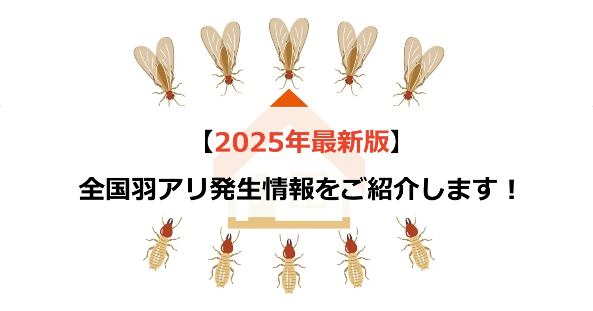 【2025年最新版】全国羽アリ発生情報をご紹介!