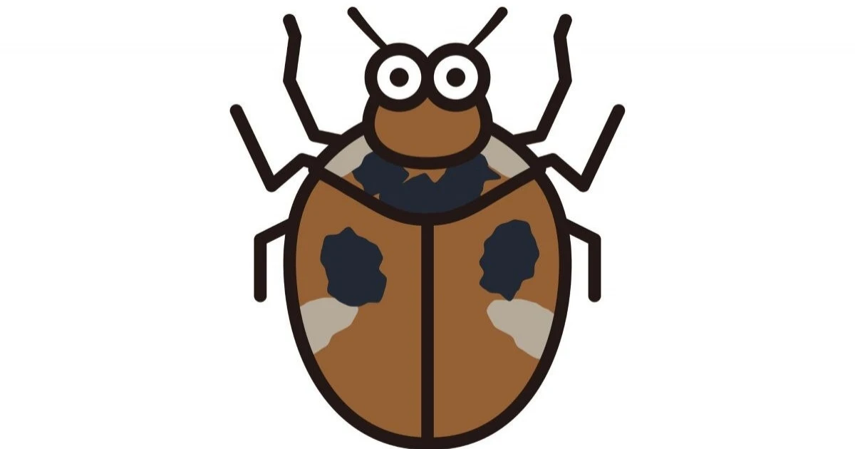 ヒメマルカツオブシムシの駆除スプレーの使い方と選び方｜生態や侵入経路も解説