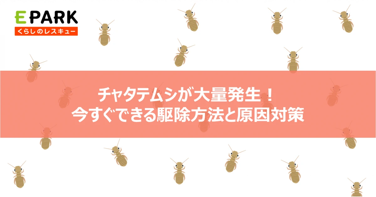 チャタテムシが大量発生！今すぐできる駆除方法と原因対策