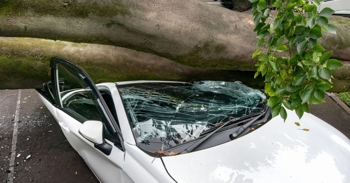 車のガラスの台風対策とは?具体的な方法や被害事例などを解説