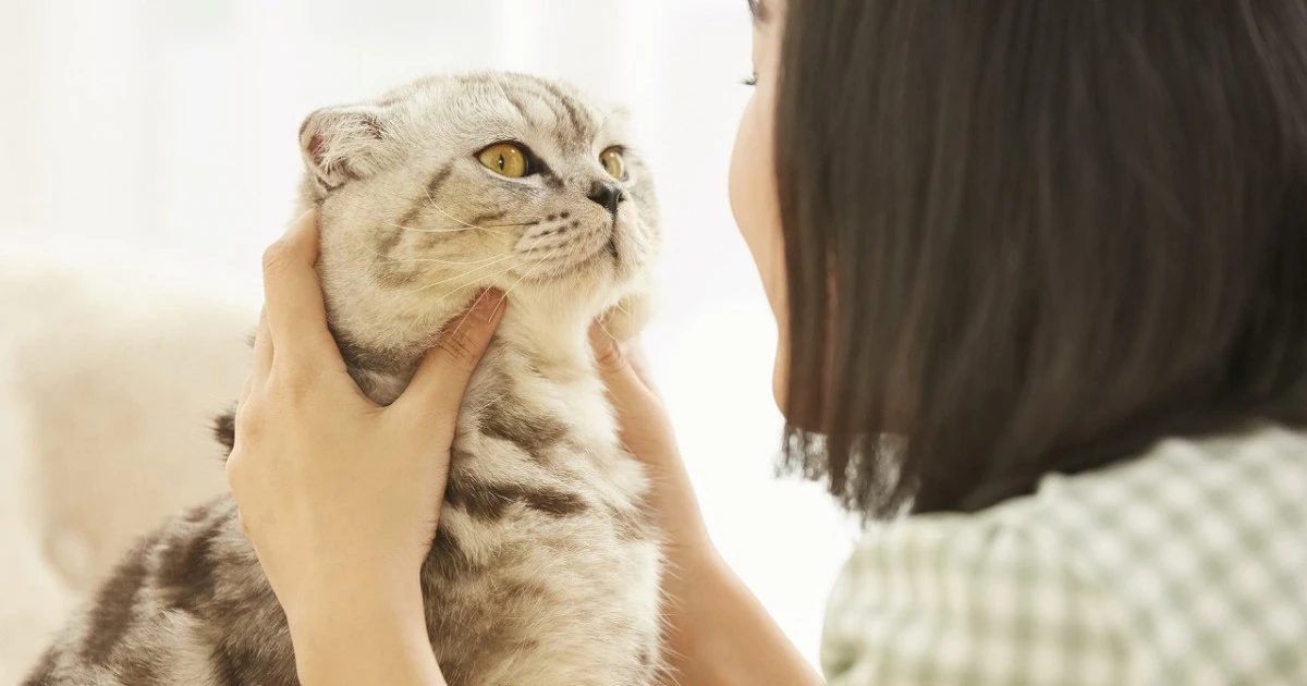 《ペットの散骨》供養方法やマナーなどをご紹介します!