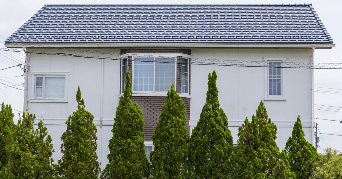 自宅の目隠しには常緑樹がおすすめ!常緑樹のメリット・デメリットやおすすめの品種をご紹介