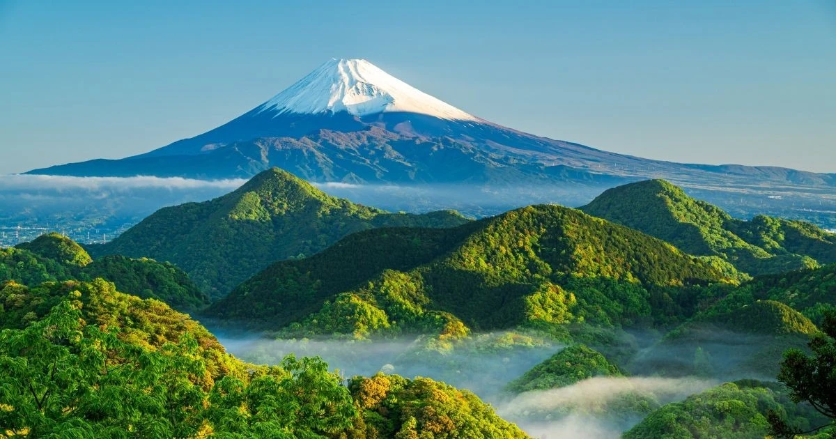 国立公園切手の買取で損しない｜高額査定の特徴と売り方を解説