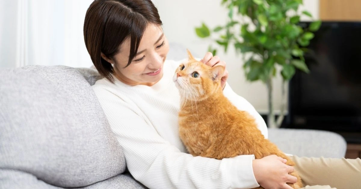 ペットがいる家の掃除術！毛とニオイ対策、プロに頼むタイミングも解説