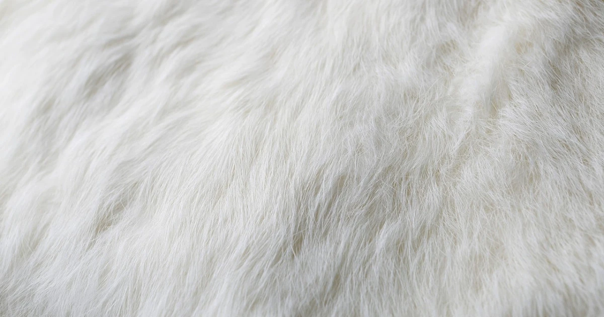 ラビットファーの買取相場や注意点を徹底解説!