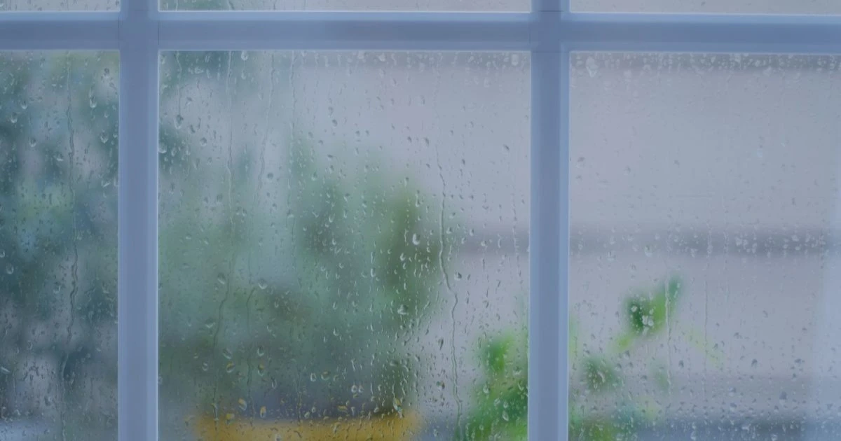 蜂の巣駆除は雨の日でも大丈夫？危険なケースと安全なタイミングを解説