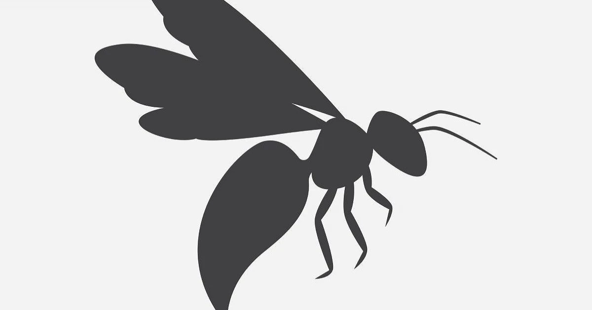 黒い蜂の正体はアシナガバチ?危険性と対処法を解説
