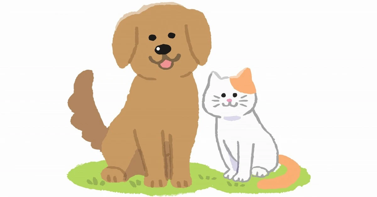 ペットの終活とは?目的やどんなことをするのかなどご紹介します!