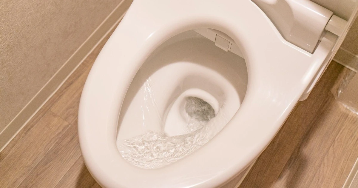 トイレが下水臭い原因とは？解消法や対策を紹介