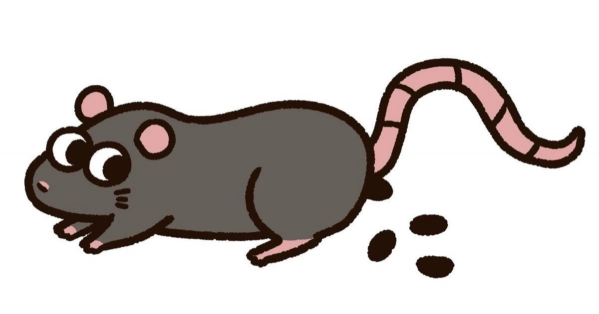 家でねずみのふんを見つけたらどうすべき?処理やねずみ駆除の方法を解説