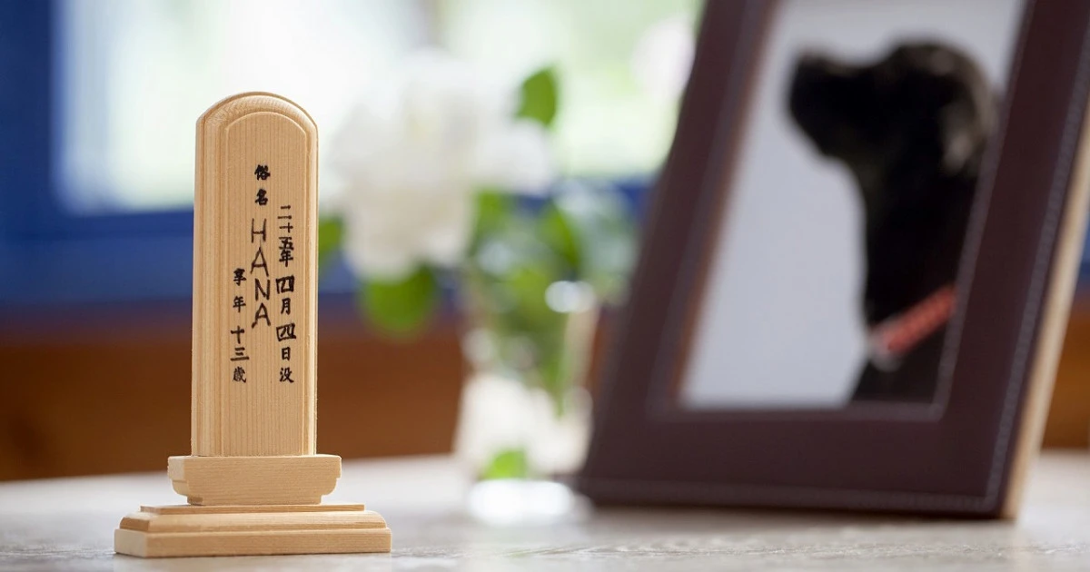 ペットロスの乗り越え方とは？具体的な症状や対策について