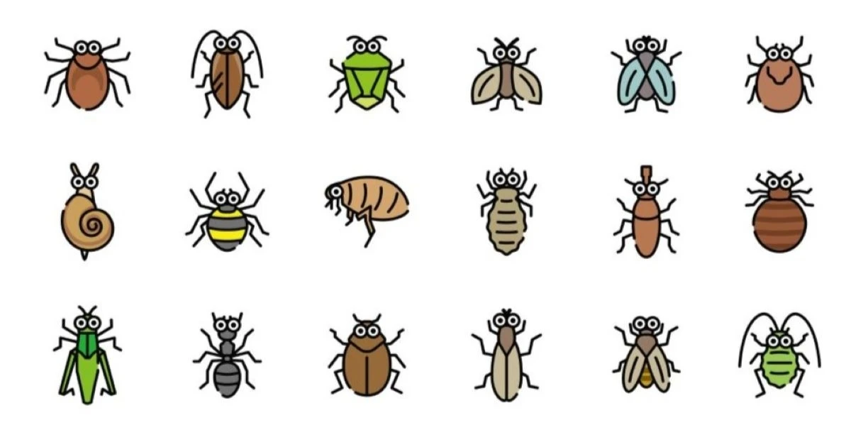 家に出る虫一覧｜種類別の特徴と対策をわかりやすく解説