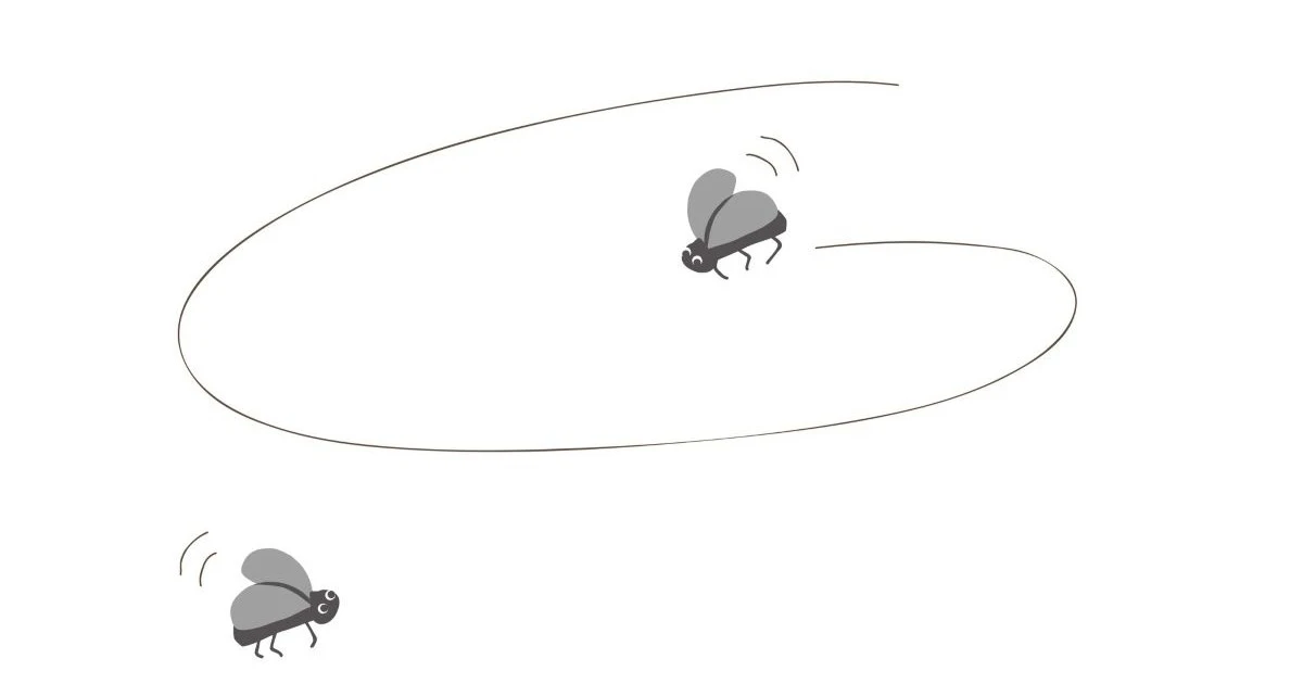 家の中で飛ぶ小さい虫の正体とは？駆除方法と再発防止の対策を解説