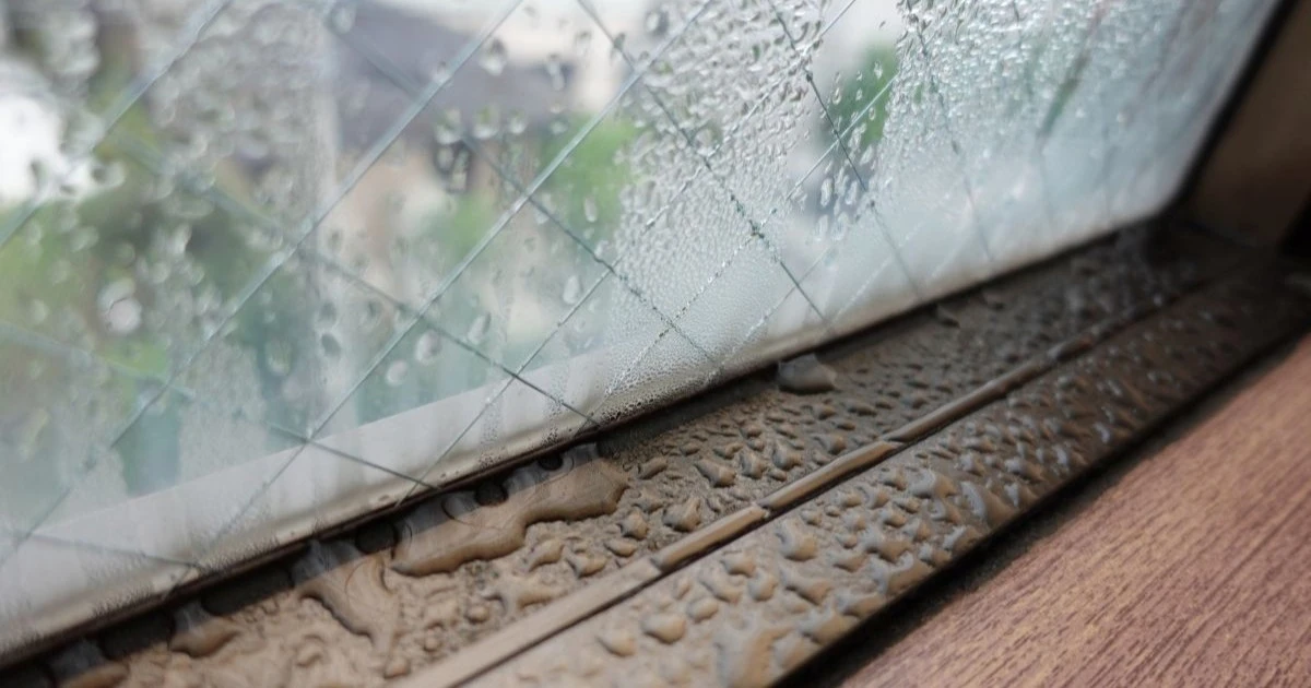 窓の結露がひどいときの対策とは？原因とリフォームが適している理由を解説