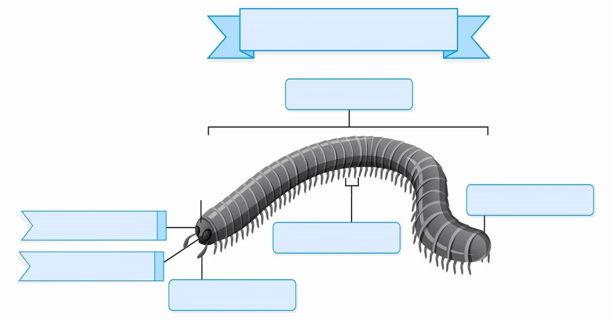 厄介なヤスデの駆除方法とは?具体的なやり方や効果的な予防策について