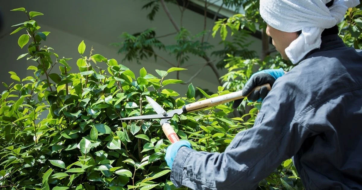 植木屋とは?庭師との違いや依頼するメリットについて