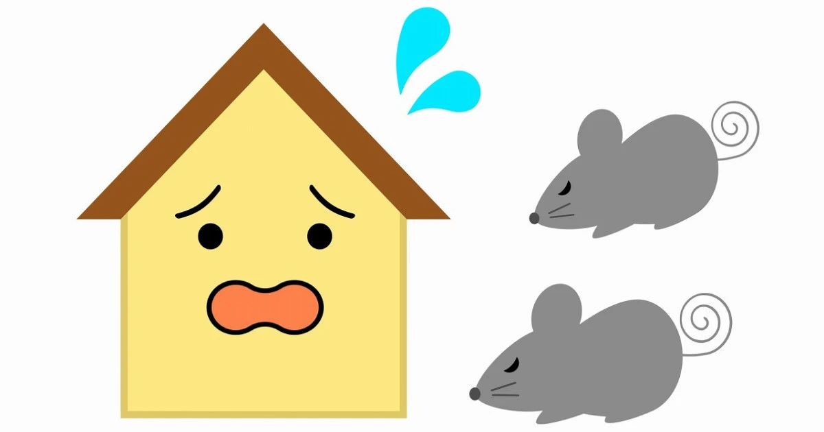 ネズミが出る家の特徴とは?家にネズミが出ないようにする予防法についてもご紹介