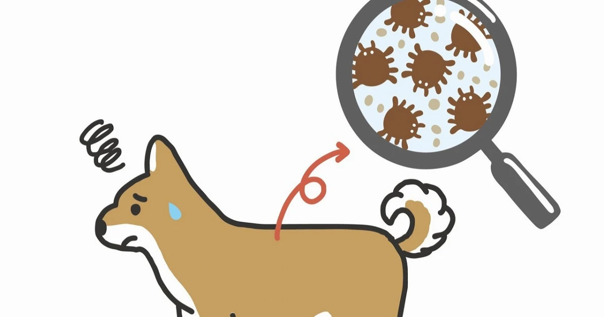 ノミの被害とは?ノミの習性や被害事例について解説