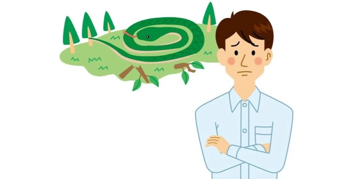家に蛇が出たときの見分け方は？危険な種類と安全な対処法を徹底解説