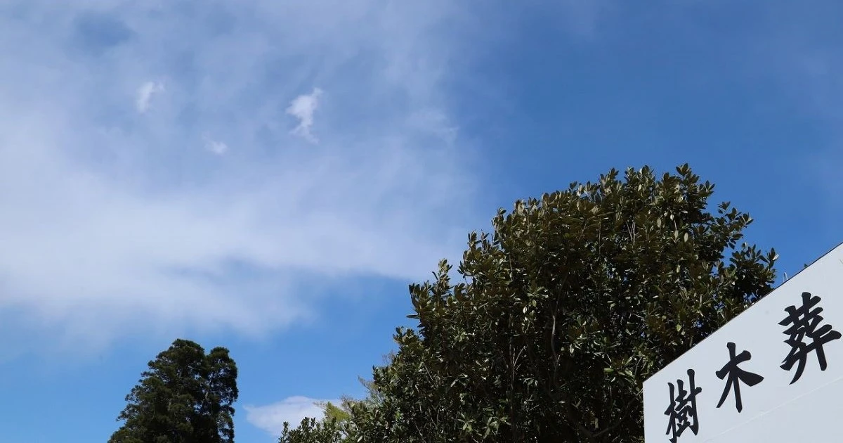 ペットの樹木葬について詳しく解説!埋葬形式や費用相場についてご紹介します