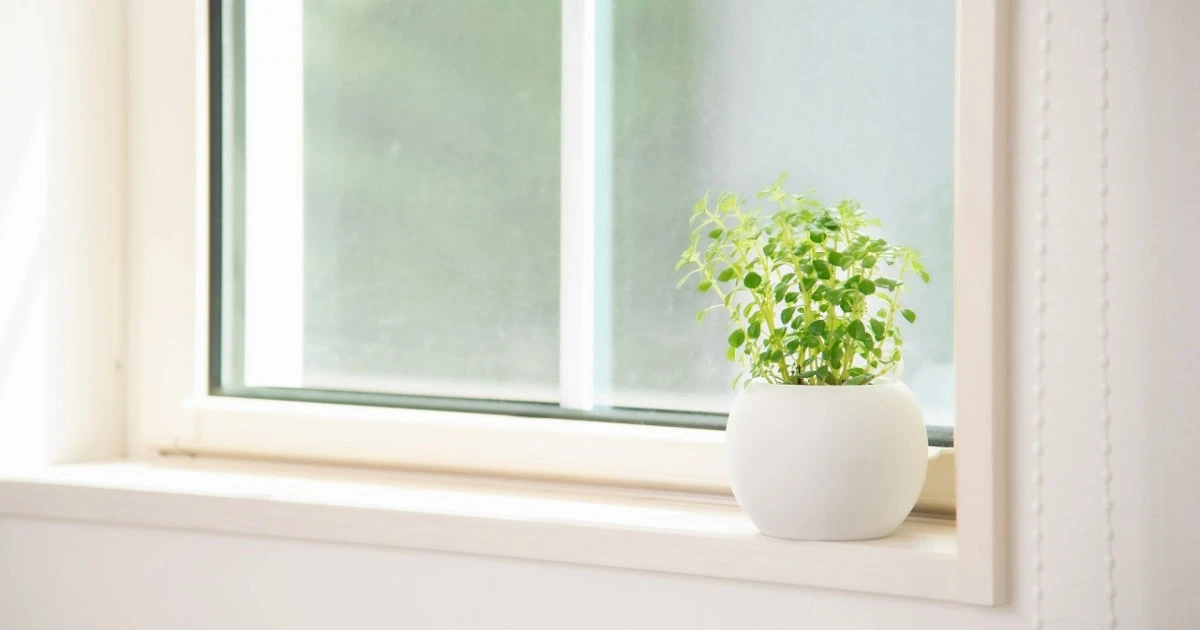 真空ガラスの窓リフォームで使える補助金は？制度の内容と利用条件を解説