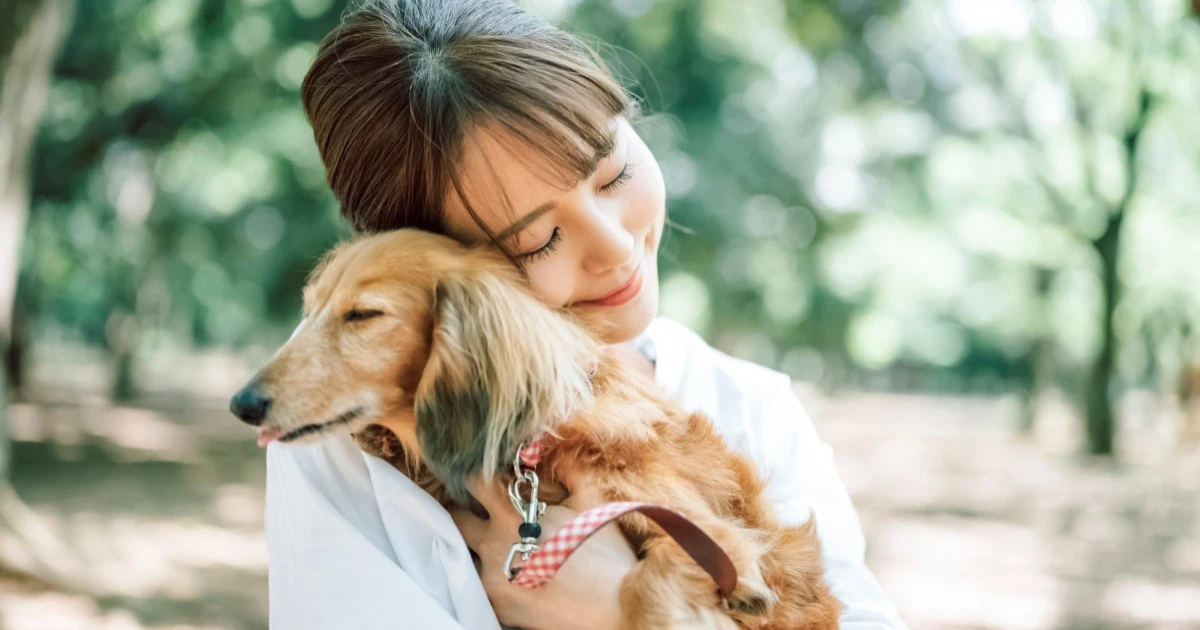 《愛犬が亡くなったら》気になる火葬方法や葬儀の流れなどを解説します