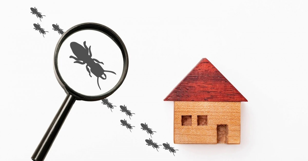 害虫が発生する前にできる対策とは?