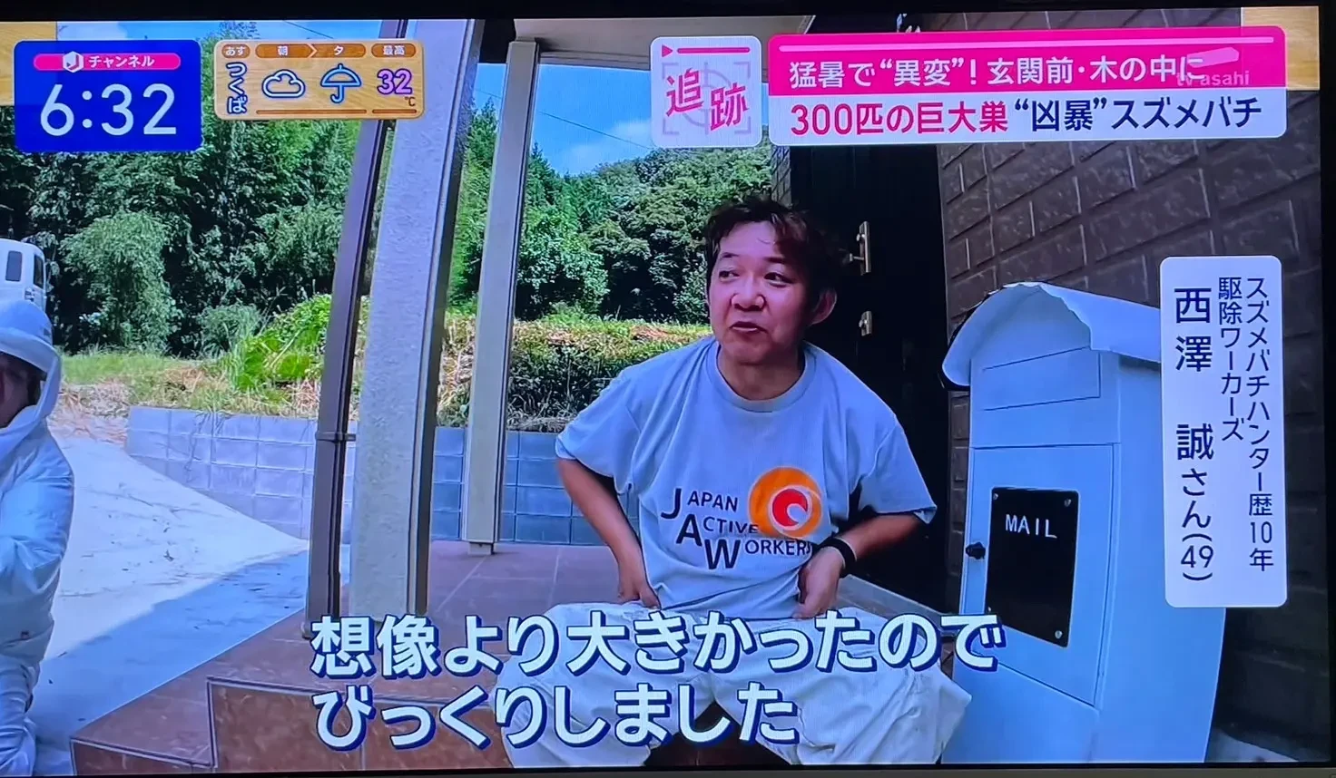 テレビ朝日_スーパーJチャンネルでスズメバチについてのコメントが紹介された際の放送画面