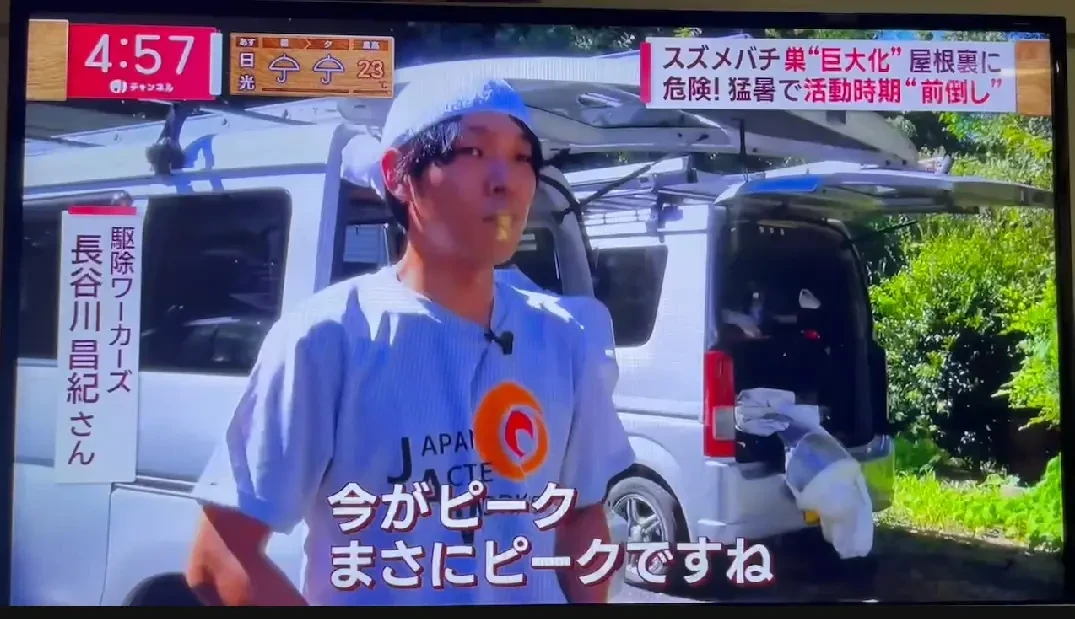 テレビ朝日_スーパーJチャンネル_キイロスズメバチについてのコメントが紹介された際の放送画面