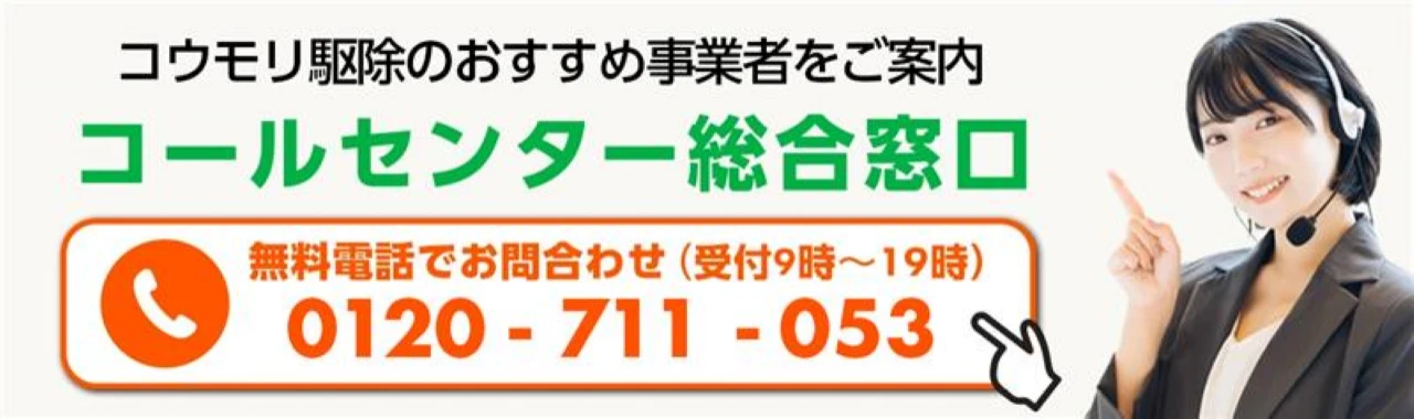 ROY_コウモリ駆除