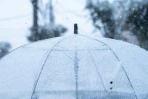 寒い冬のイメージ写真