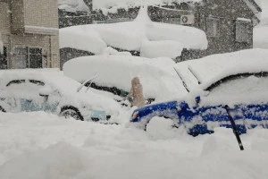 豪雪の写真