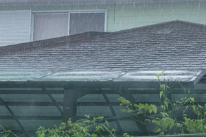 大雨の写真