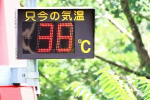 気温38度を示すデジタル温度計の写真
