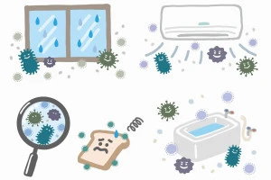 家の様々な場所でカビが発生しているイラスト