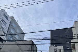 東京都港区で撮影したうろこ雲の写真