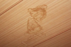 雨漏りによるシミが発生している天井の写真