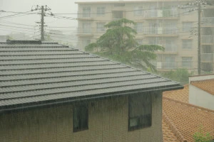 大雨と屋根の写真