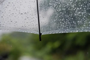 雨傘の写真
