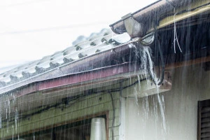 大雨の写真