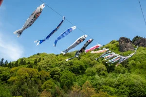 道の駅霊山たけやま　鯉のぼりの写真