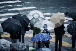 傘を差して信号待ちをする人々の写真