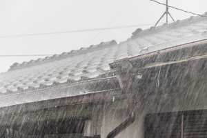 大雨の様子
