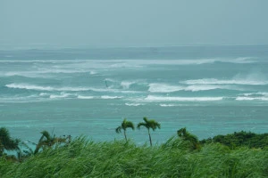 荒波の海景