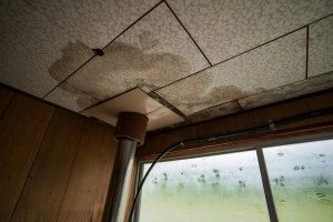 雨漏りした家の天井の写真